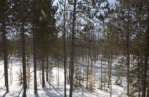 Oro-Medonte House | Horseshoe Resort Chalet