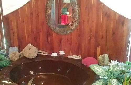 Lansing Bed & Breakfast | HOUSE OF FUTURE MASTER BEDROOM LANSING