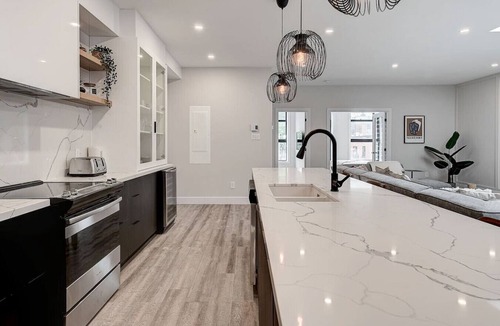 La Petite-Patrie Apartment | HUGE 1376 SQFT apt with rooftop - Plaza St-Hubert