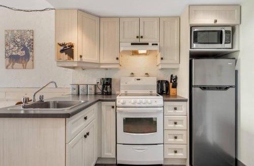 Saint Ferreol les Neiges Apartment | Initial/Loft de la montagne/MSA