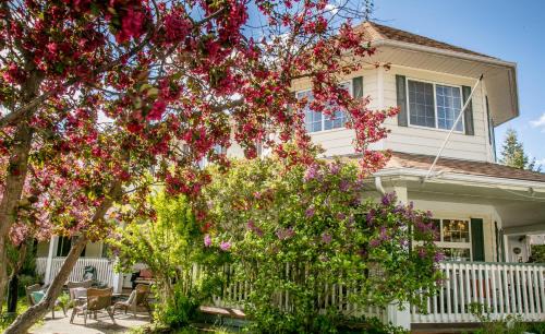 Radium Hot Springs Hotel | Inn on Canyon