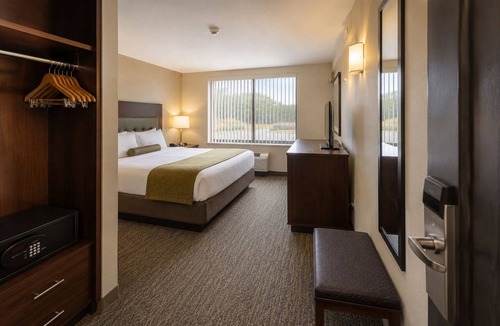 Downtown Toronto Apartment | Inviting 1BR Hotel Suite with AC in Downtown Toronto