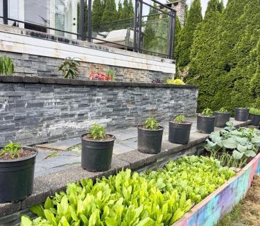 Hollyburn House | Ivy s House