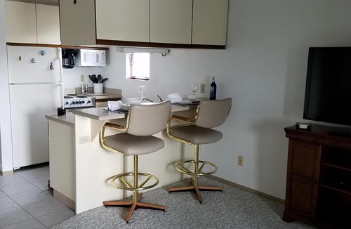 Oak Harbor Condo | Lake Erie Green Cove Getaway
