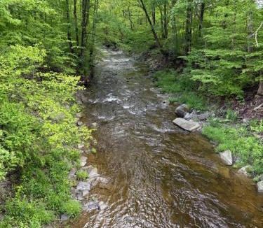 Willet Other | Live The Outdoors Camp