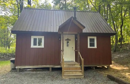 Dansville Cabin | Livingston cabin