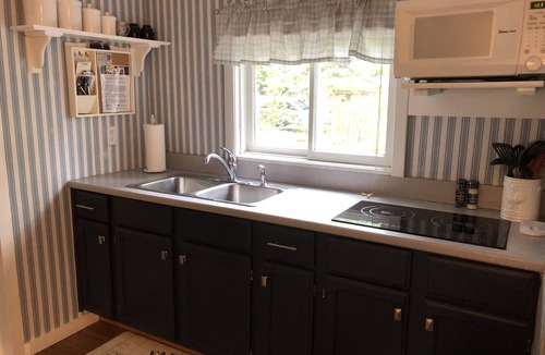 Lake Ann Cottage | Lone Pine Cottage 1 Bedroom Lakefront on Bryan Lake