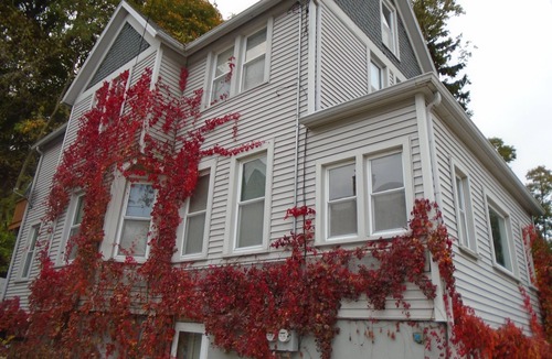 Port Washington House | Lower flat steps from the lake and downtown