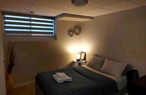 Fort Gary Apartment | New 2 Bedroom Basement suite with private entrance