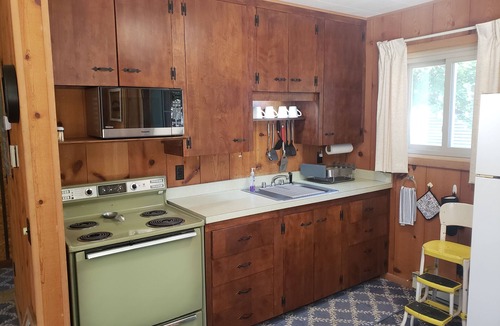 Canadian Lakes Cottage | NEW! Lake view/access Cozy Cabin!