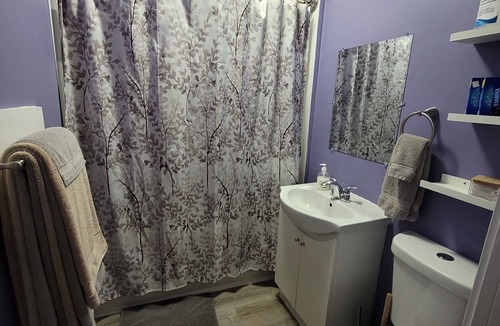 Winnipeg House | Northside Comfort! Pet Friendly Budget Rental close to HSC and The Forks!