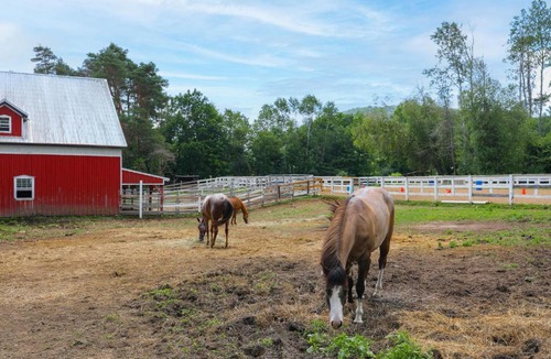 Spring Creek House | On Horse Farm! Home w/Pond Access in Spring Creek