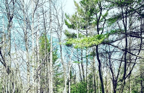 Mansonville Ski Chalet | Owl's Head Family Cabin