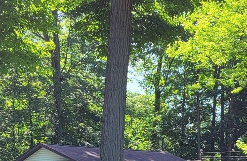 Pymatuning North Cottage | Peaceful 2 bedroom cottage close to the lake.