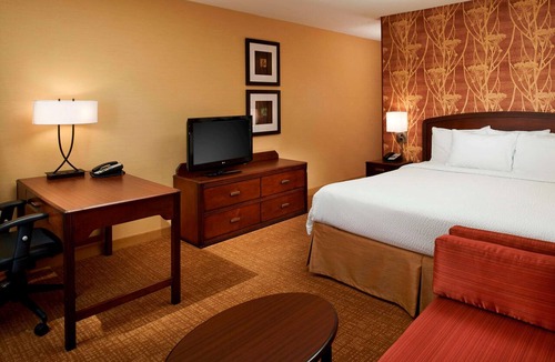 Novi Hotel | Perfect Room for Pet Owners Seeking a Relaxing Getaway with Swimming Pool