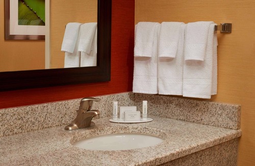 Novi Hotel | Perfect Room for Pet Owners Seeking a Relaxing Getaway with Swimming Pool