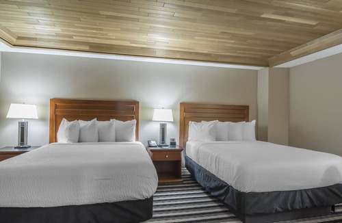 West Edmonton Hotel | Quality Inn West Edmonton