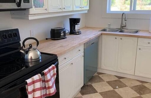 Port Alberni House | Quiet Country Home With Mountain View for 6 pets friendly
