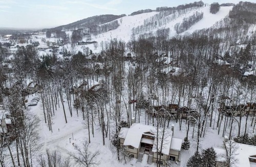Boyne Falls Condo | Ski Lodge at Boyne Mountain! Sleeps 18, perfect for families/large groups