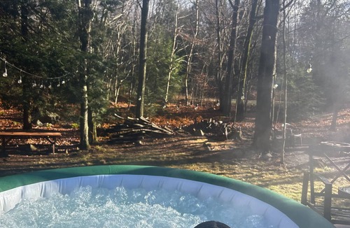 Dushore Cabin | Spacious 3BR cabin near trails for Spring break or Summer getaway! Pets welcome!
