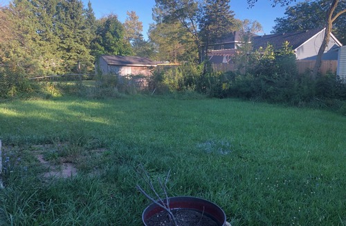 Bryant Pattengill East House | Spacious 4-bedroom house in charming Ann Arbor with AC, WiFi