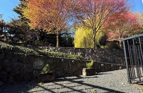 Saanich East Apartment | Spacious one bedroom steps from UVIC and beach. Parking included!