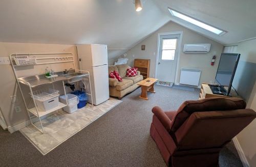 Lewisporte Apartment | SpringHouse Saltwater Loft 1 Bedroom Pet Friendly