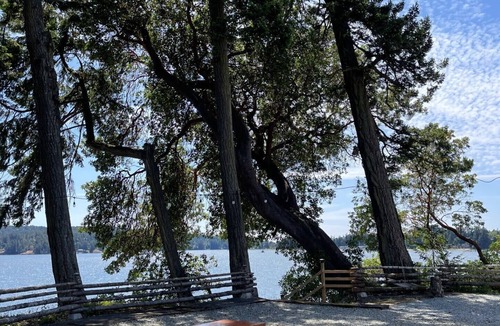 Sooke Cottage | Studio Cottage (Duplex) on Waterfront Property with Beach Access - Sleeps 2