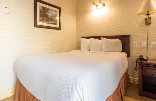Terra Nova Hotel | The Guv'nor Inn & Pub