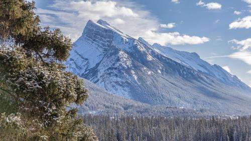 Banff Hotel | The Juniper Hotel & Bistro