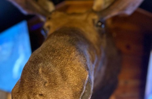 Glenwood Hotel | The Moosehead