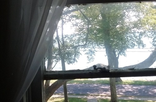 Kelleys Island House | The Old Nest Vacation Waterfront Home