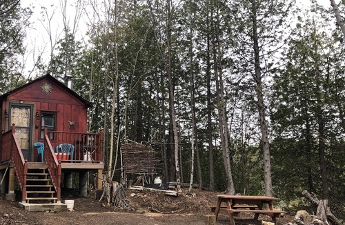 Arden Cabin | The Robin's Nest Private Woodland Cabin