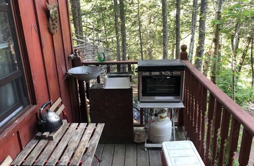 Arden Cabin | The Robin's Nest Private Woodland Cabin