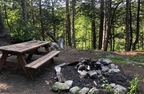Arden Cabin | The Robin's Nest Private Woodland Cabin