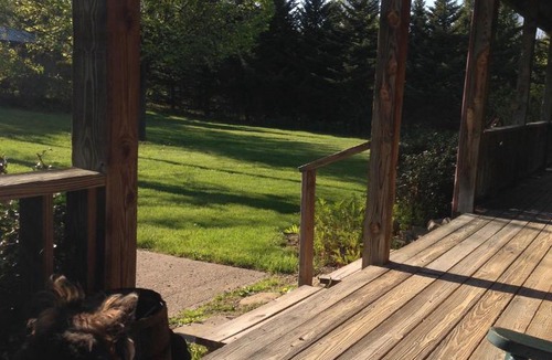 Dundee Bed & Breakfast | The South Glenora Tree Farm