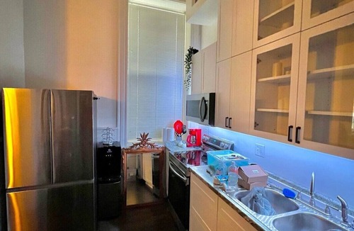 Mansfield Apartment | The Voegele Historic Loft BnB Apartment