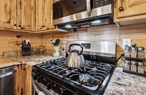 Ashtabula Cabin | Timber Tides-Lake Front/HotTub/6 Min to GOTL Strip