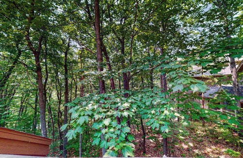 Maple City Condo | Upper-level condo with forest views, fireplace, soaking tub & high-speed WiFi