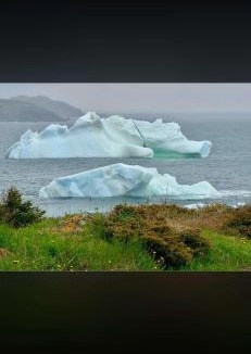 Twillingate House | Wild Cove Retreat