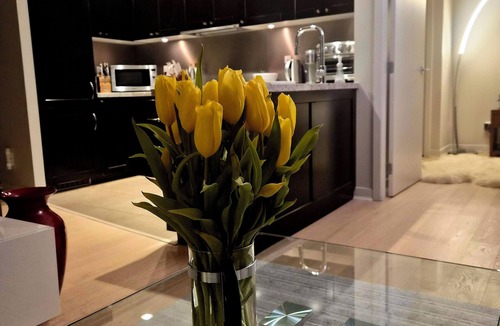 Yaletown Apartment | Yaletown 2BR/2BA luxury apartment in downtown Vancouver - next to MAJOR INTERNATIONAL SPORTING EVENT games