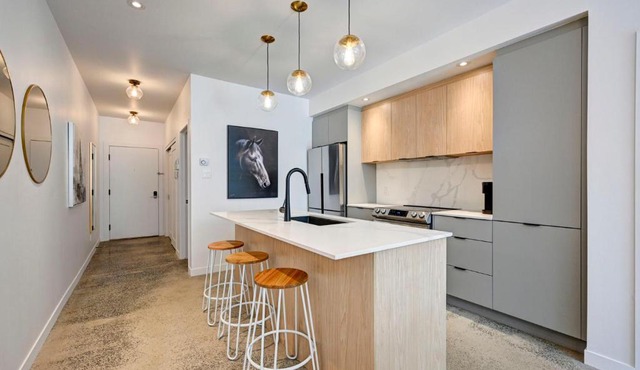 Élégant 2ch 2sdb Beau Quartier de Montréal présenté par TripMontreal IV