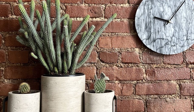 19th century, historic, sparkling clean condo heart of everything