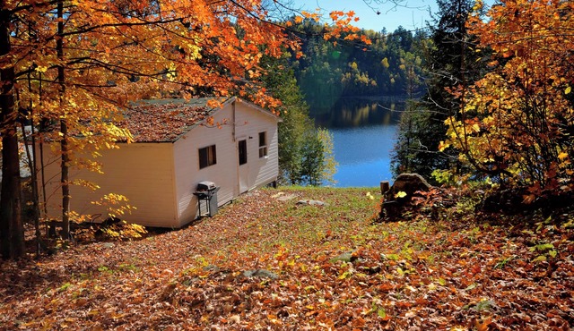 2 Bedroom Lakefront Cabin on Baptiste Lake