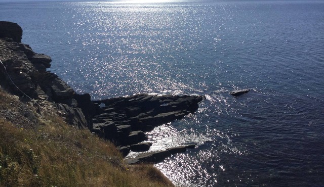A 2 bedroom home in English Harbour, Trinity Bay. Ocean views and hiking.