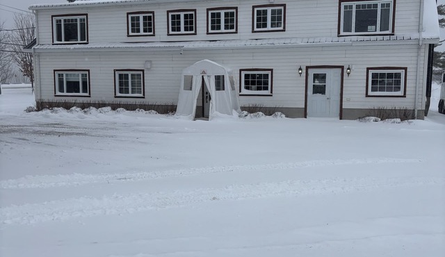 A 4-season haven for families and pets.