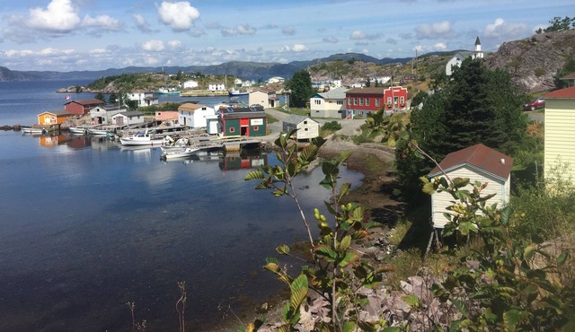 Adventurers' Delight and best kept secret in Trinity Bay!