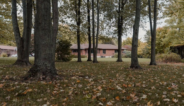 Aqua Vista Cottage - 10-acre retreat with 1,000 feet of private beachfront
