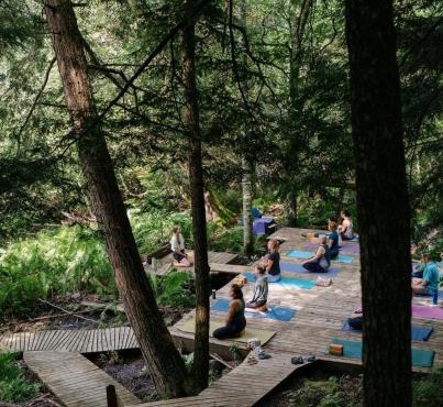 Auberge Yoga Salamandre