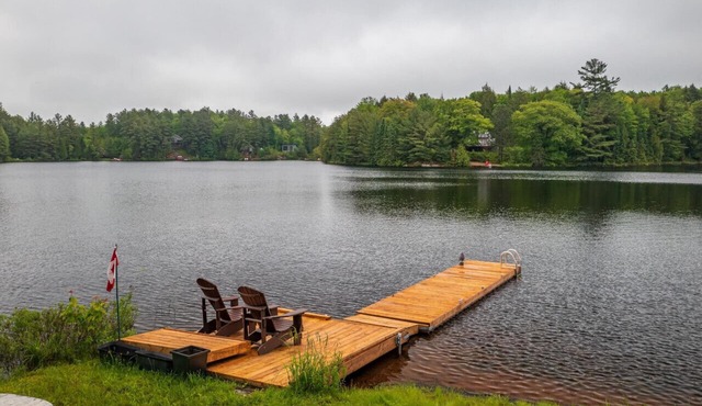 Bear Essentials Lakefront Hideaway